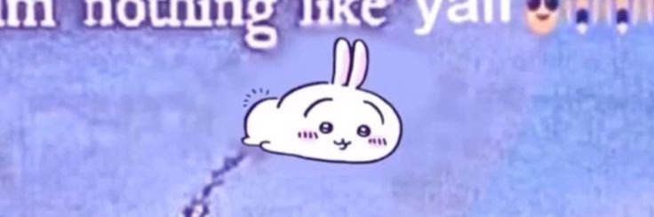usagiuna19485's profile banner image