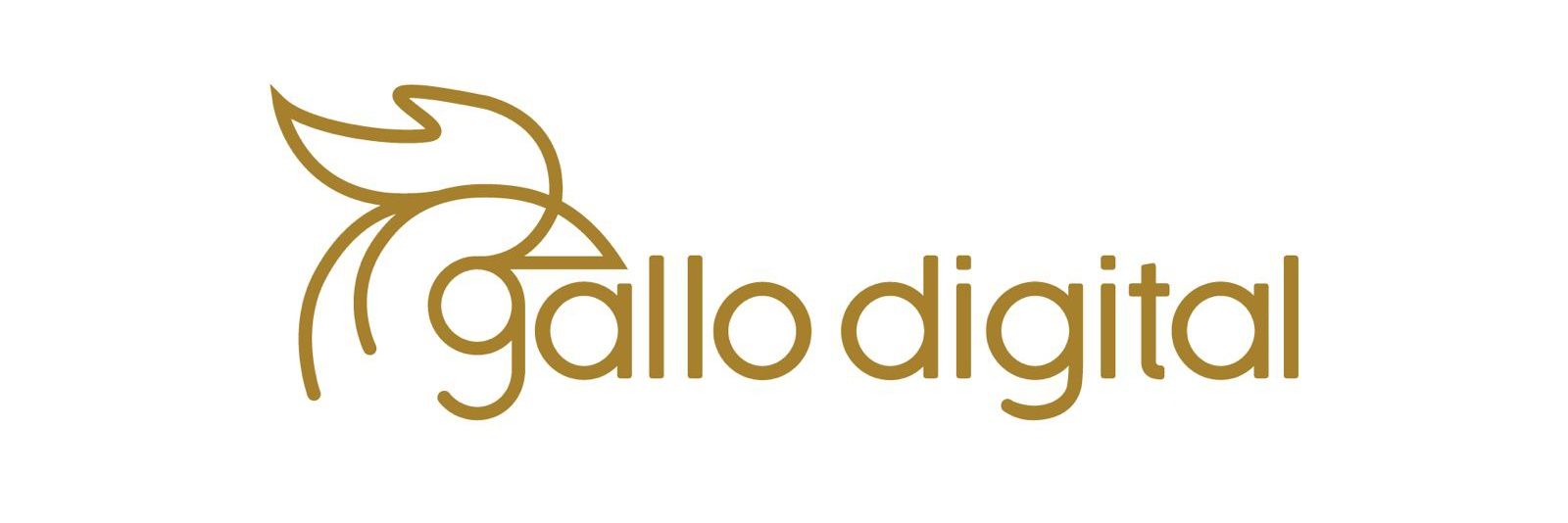 GalloDigitalMX's profile banner image