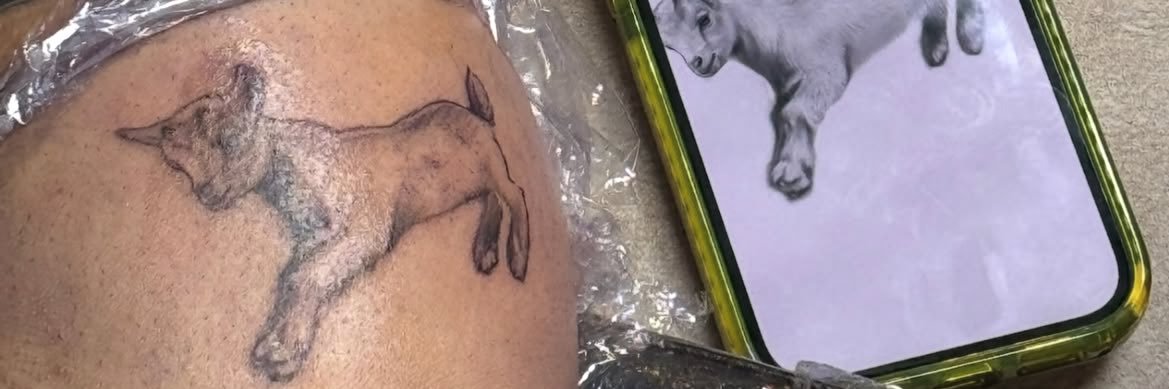 Quevedo Data 🌝 banner