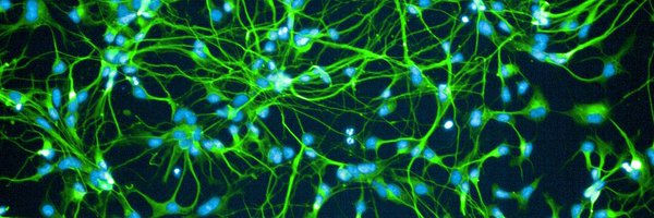 bigosi Profile Banner