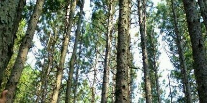 eli_downie's profile banner image