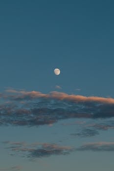Angela_Bedell's profile banner image