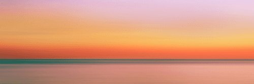 Cindy Barrera banner