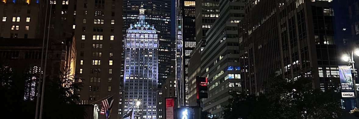 didimbm's profile banner image