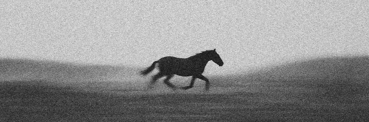 Manchild 🐊 banner