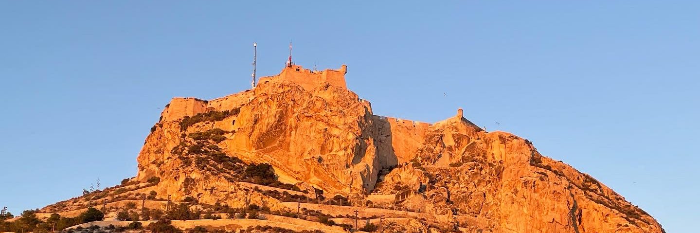 dauden's profile banner image