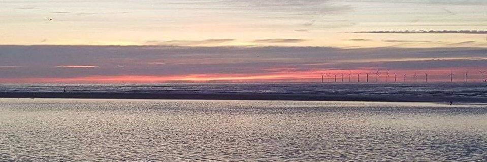 Ellesse Oakes 🐝 banner