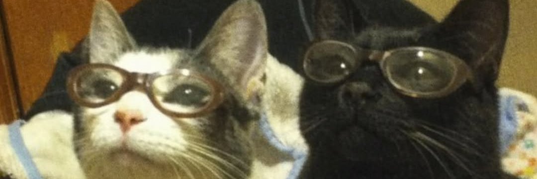 rrranaash's profile banner image