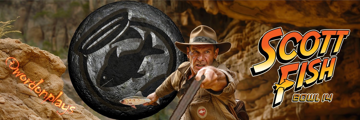 David Flannery banner