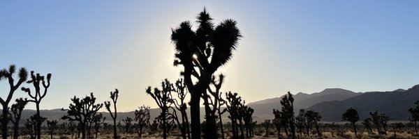 AlmandhariaM Profile Banner