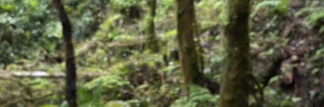 cfavila's profile banner image