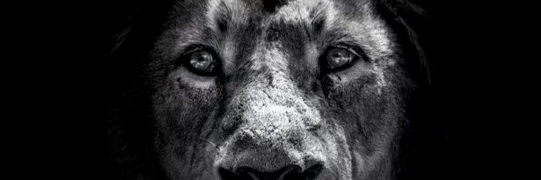 Born_Blessed_'s profile banner image