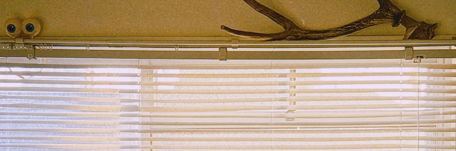 tskootk's profile banner image
