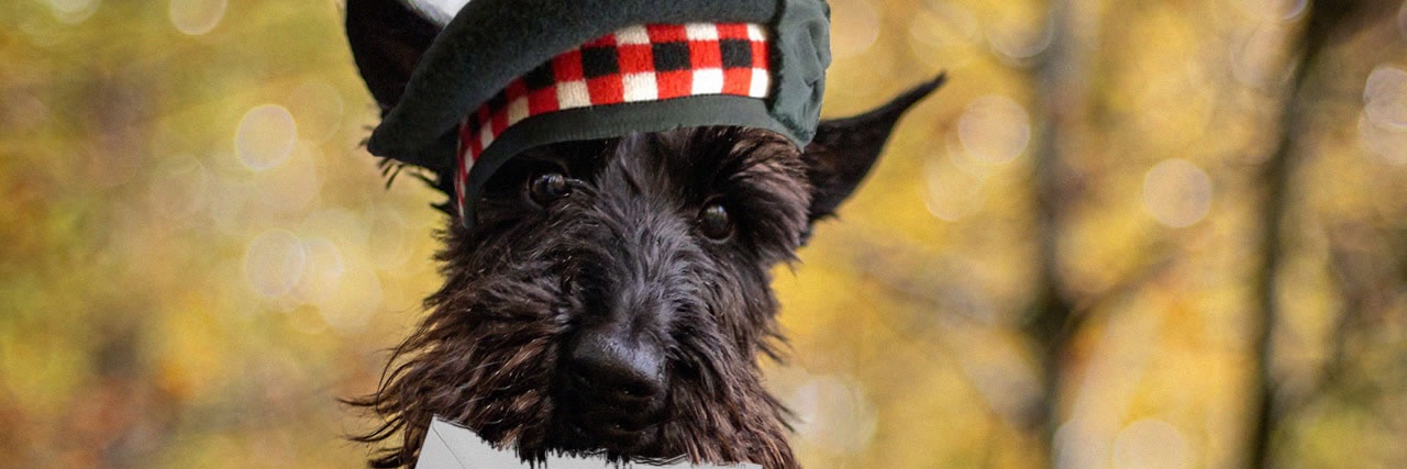 Fiona MacDonald banner