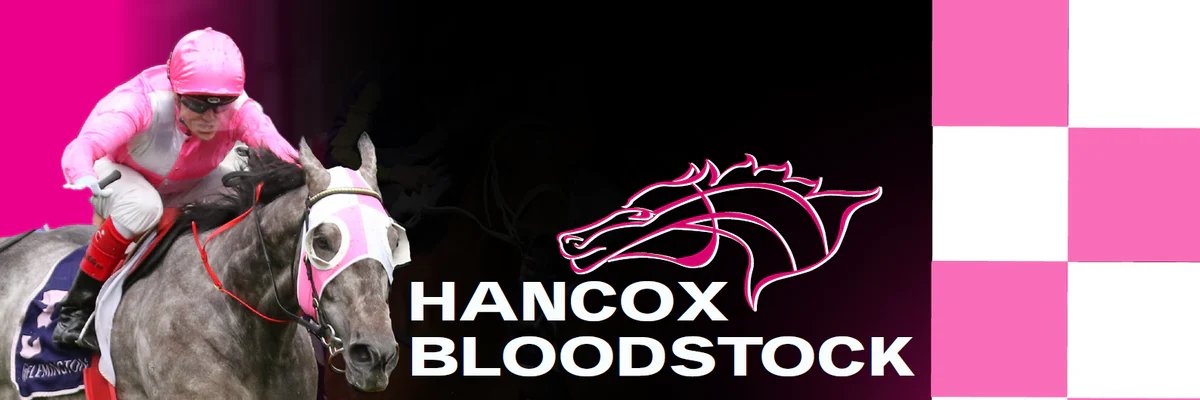 Hancox Bloodstock banner