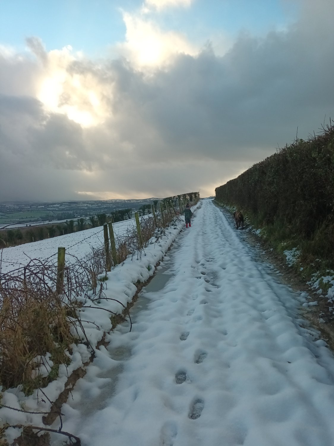 Ann Marie Wilson banner