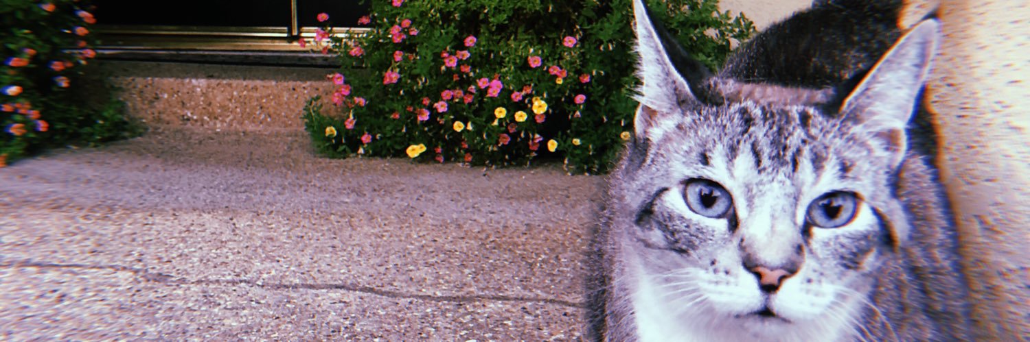 alexaemagal's profile banner image
