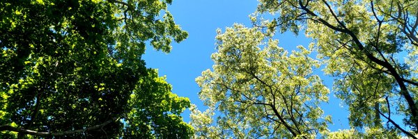 NMPK47 Profile Banner