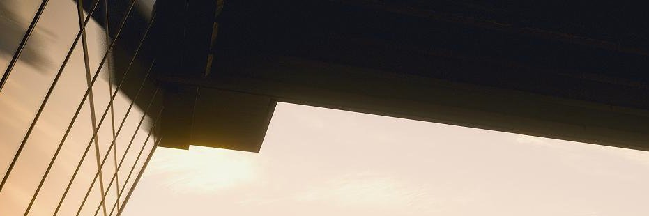 D The Hedgehog banner