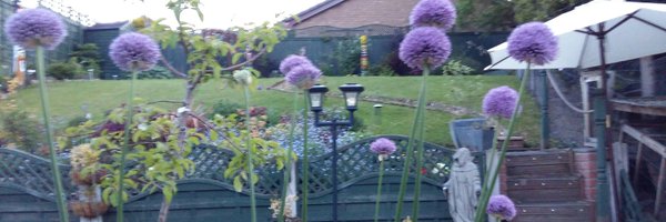 ljcsmyth Profile Banner