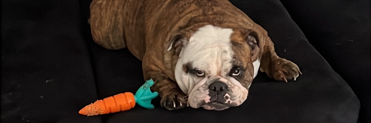 LaraCostac's profile banner image