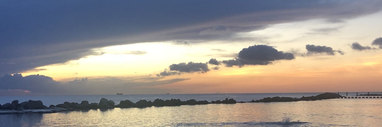 HeartbreakDane's profile banner image