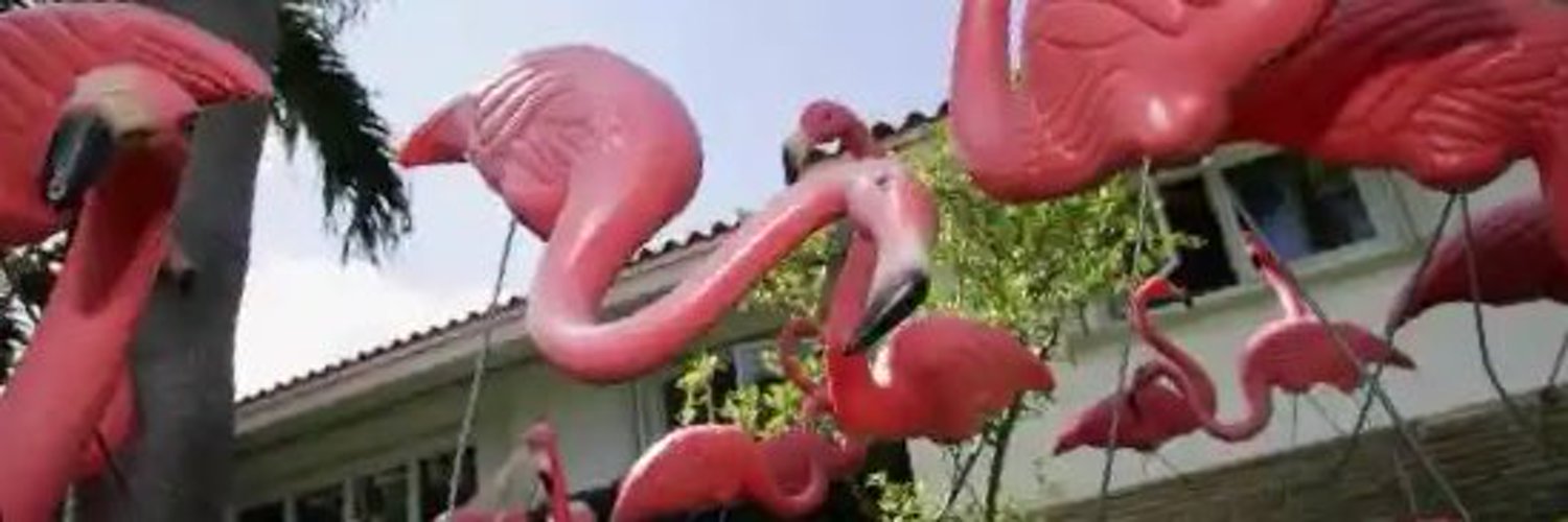 Amygator II banner