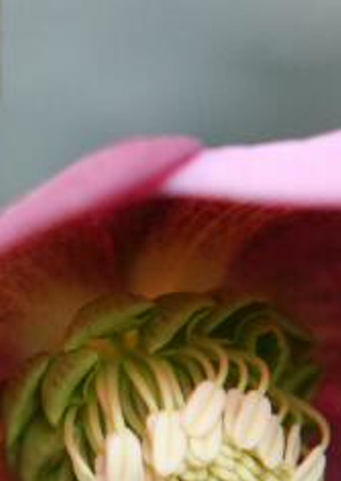 m3l6p's profile banner image