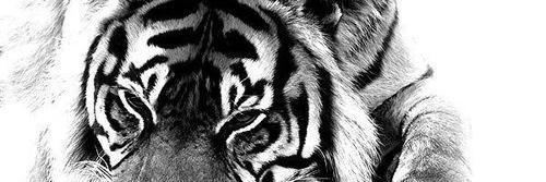 ndhrh____'s profile banner image