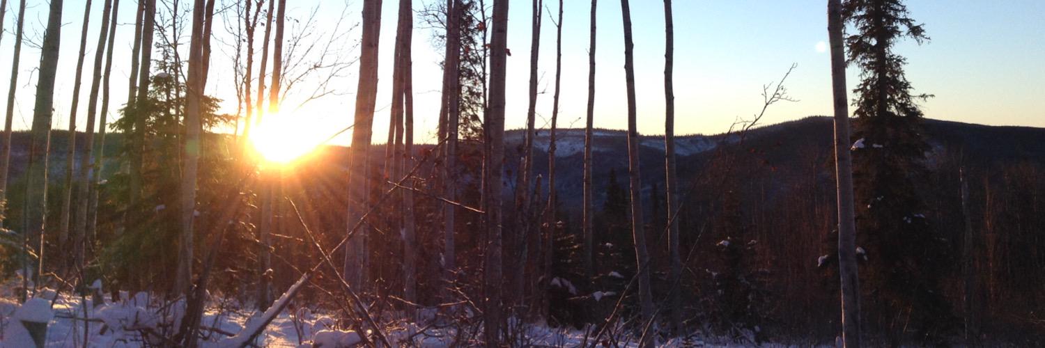 DaviSpindler's profile banner image