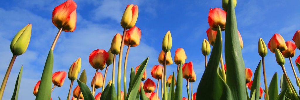 ashokpatel_rt's profile banner image