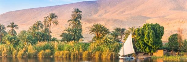 Pharaoh banner