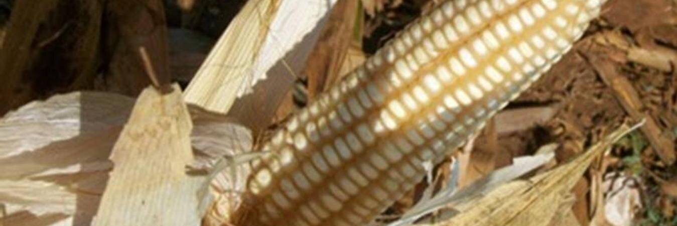 stledgemark's profile banner image