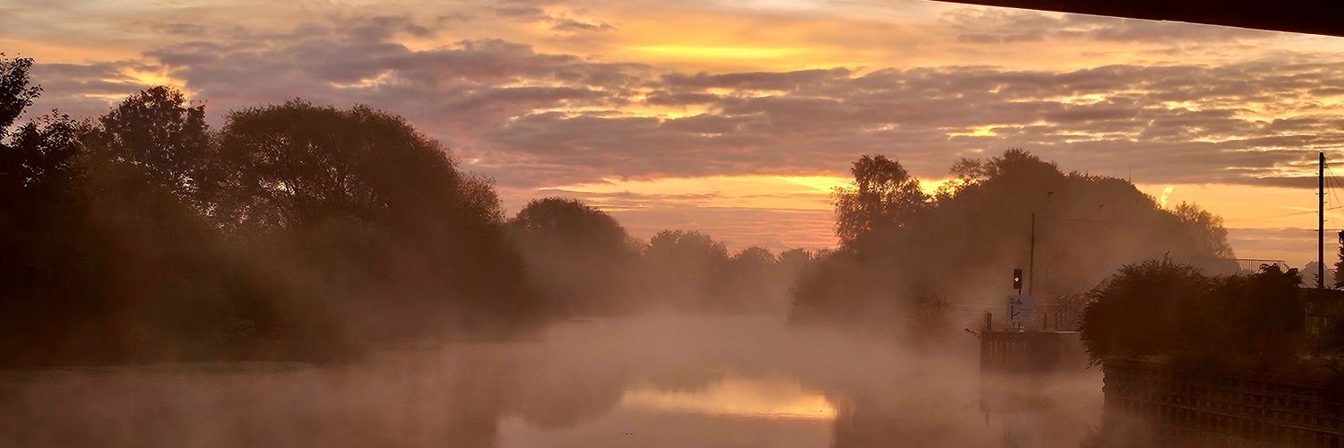 arikatatafu🍸 banner