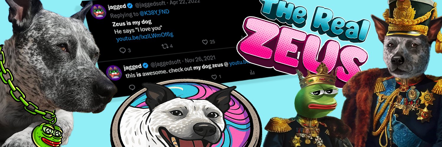 RealTheZeusERC's profile banner image