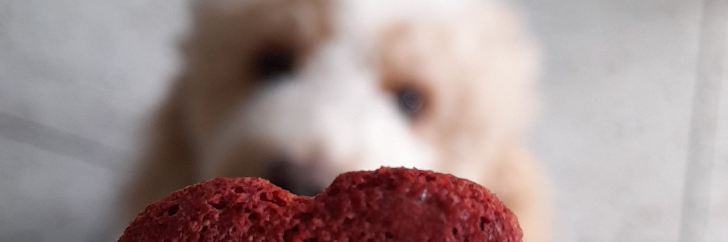 BrendaWiii's profile banner image
