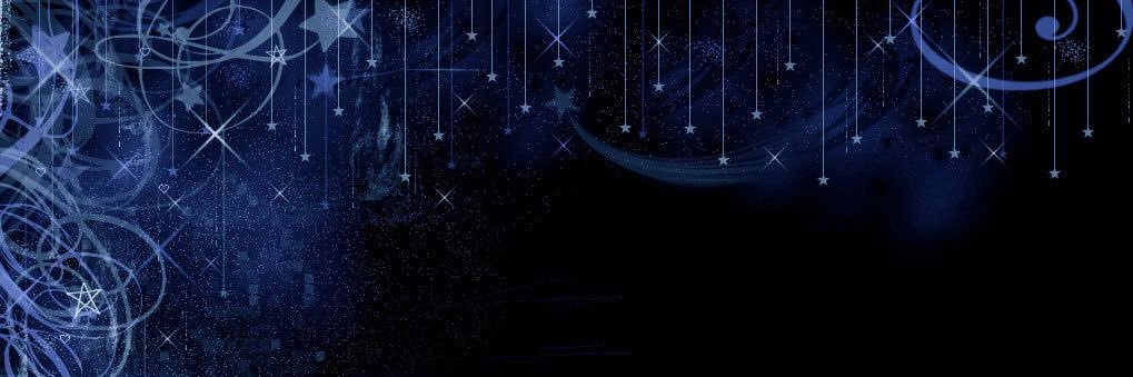 vile's banner