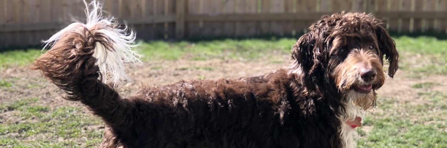 Derric Gabriel Gowan banner