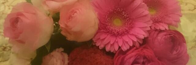mayumi__1016's profile banner image