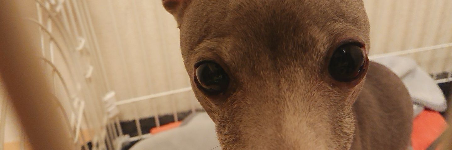 karu522's profile banner image