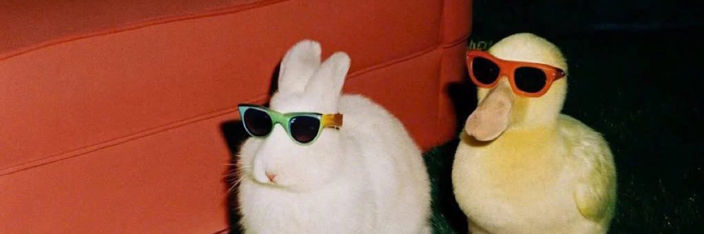 santtosigor_'s profile banner image