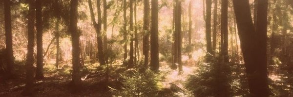 lenoredovethnkr Profile Banner