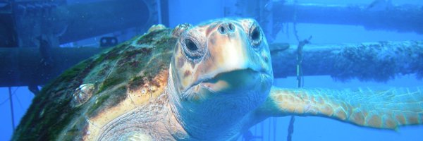 187THELEFT Profile Banner