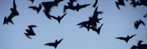 𝙅𝙖𝙮 ⋆˚࿔ | MCR 9/13's banner