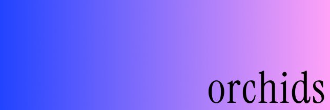 orchids's banner