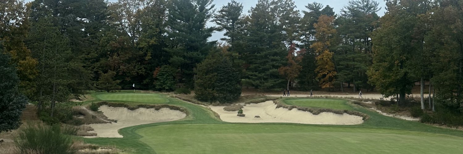 Sahith Theegolfa banner