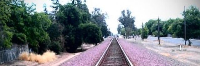 Tom Hernandez banner