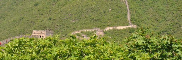 yvettebacker Profile Banner