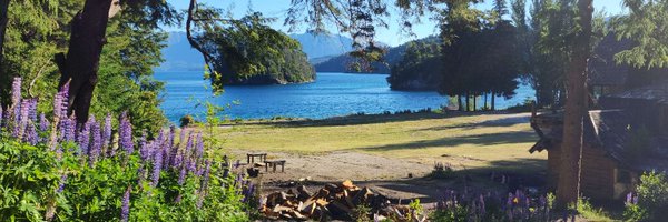 PepeNFT Profile Banner