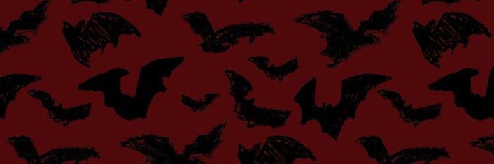 madocaz_'s profile banner image
